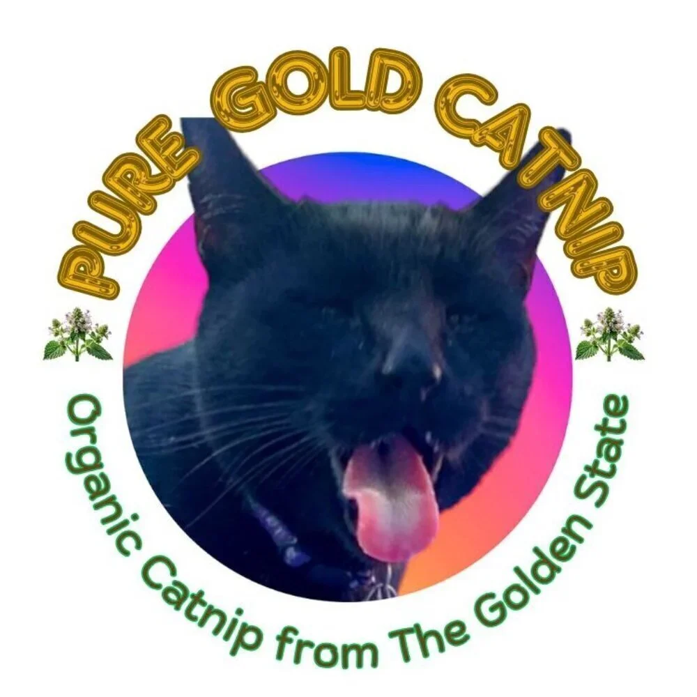 PURE GOLD Catnip Organically Grown & Harvested Pure Californian Catnip 4